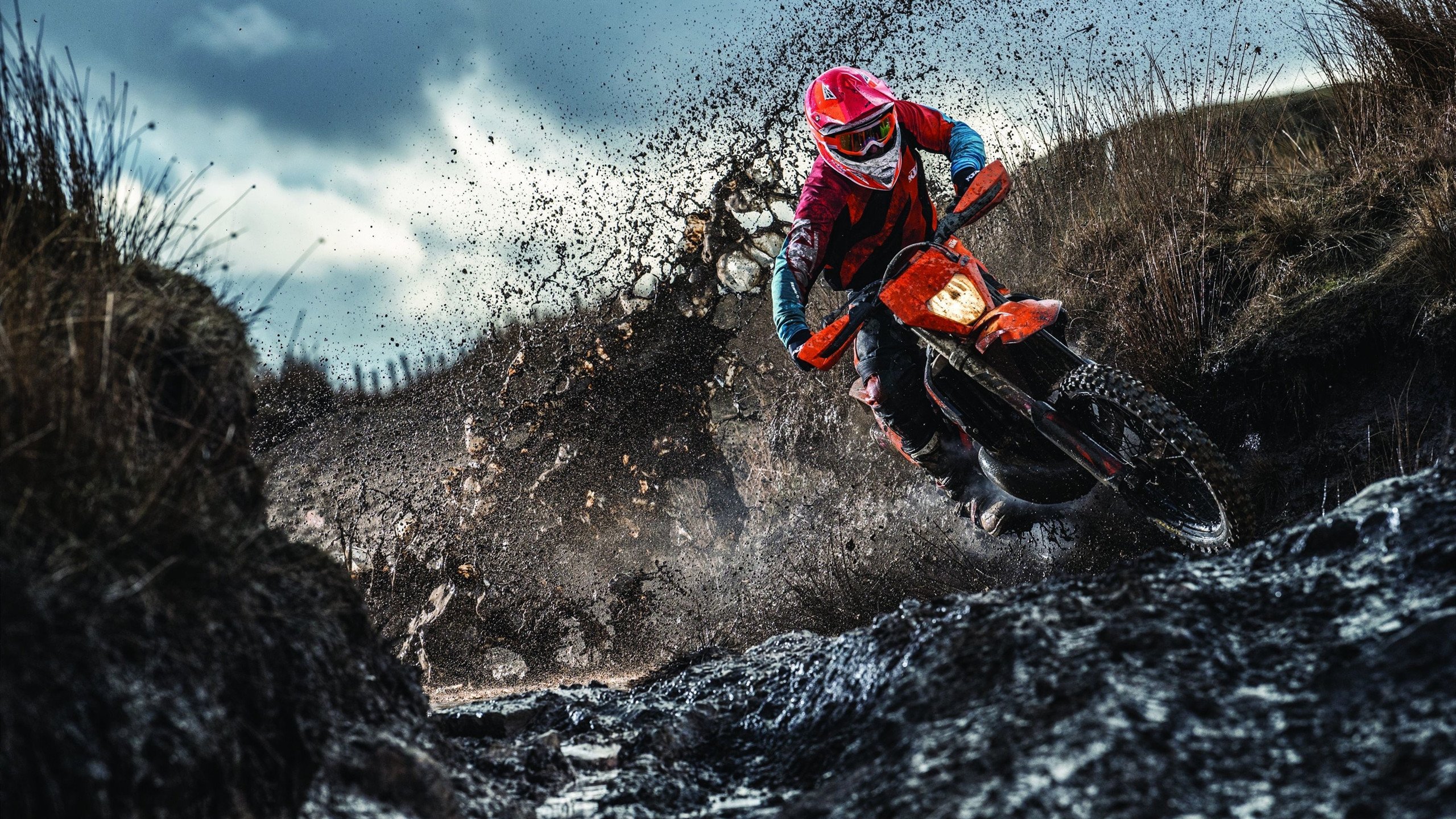 保利娜·亚历山德拉·普费夫10米跳台决赛精彩亮相